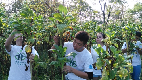 CBDAA6DFCD97CBB6A464743C721A4C3C CBDAA6DFCD97CBB6A464743C721A4C3C