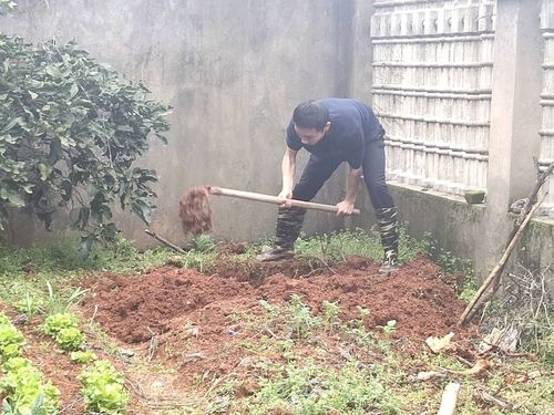 QQ图片20200312092852