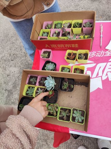 Cache_69a6e60e1de15c9._proc