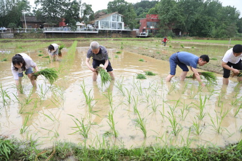 8868官方网站积极推动大中小学“五育并举”一体化