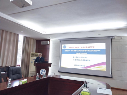 6666666666 6666666666