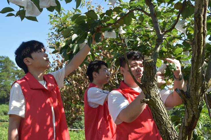 图示, 示意图&#10;&#10;中度可信度描述已自动生成:ver1