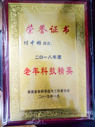 老年科技精英