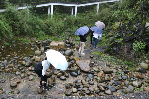 QQ图片20190325161853 QQ图片20190325161853