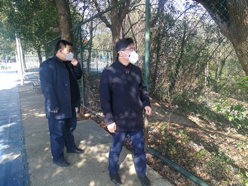 IMG_20200130_143727 IMG_20200130_143727