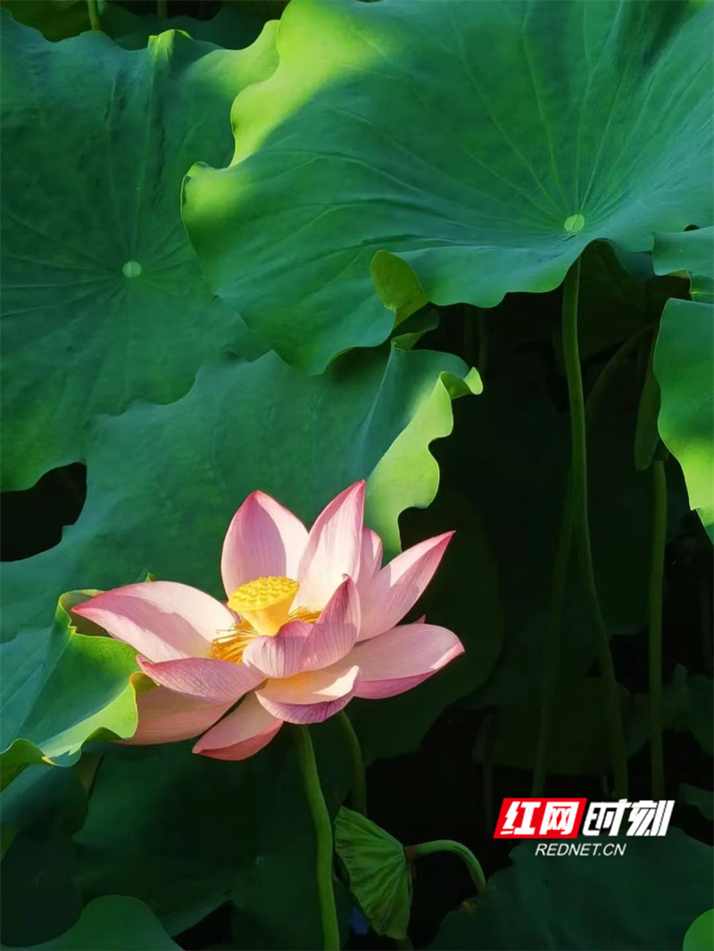 微信图片_202408291448341.jpg 微信图片_202408291448341.jpg